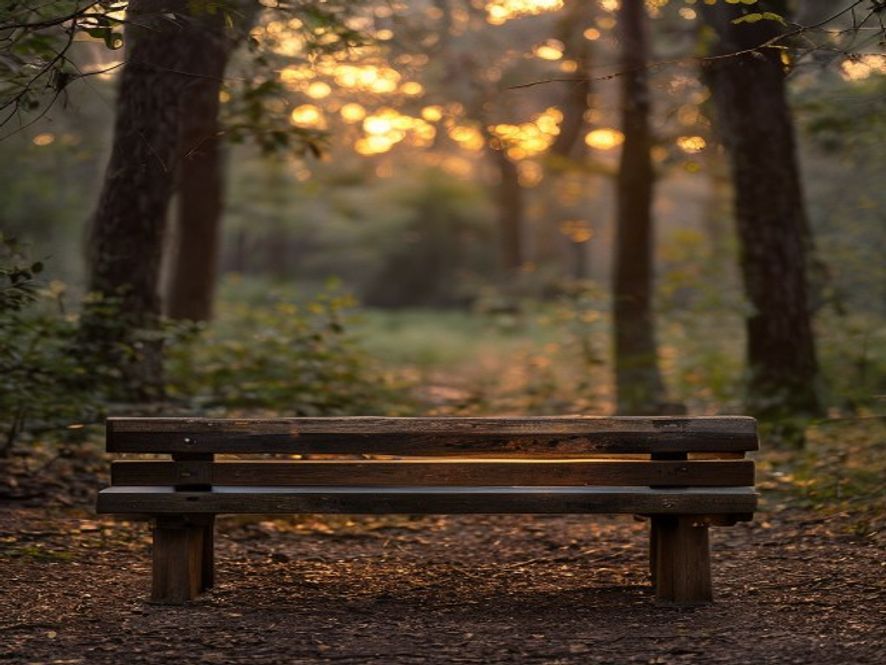 Ryhmä ihmisiä istumassa puiston puusta valmistetulla penkillä, auringon laskiessa, rauha hetki